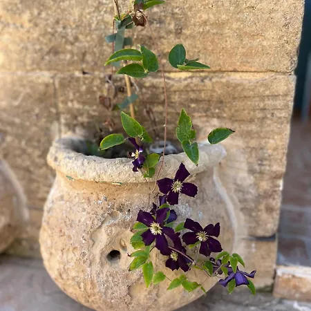 Сasa de vacaciones Tal-mans Gozo