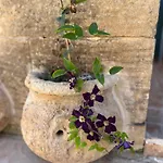 Сasa de vacaciones Tal-mans Gozo