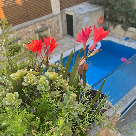 Dom wakacyjny Tal-mans Gozo