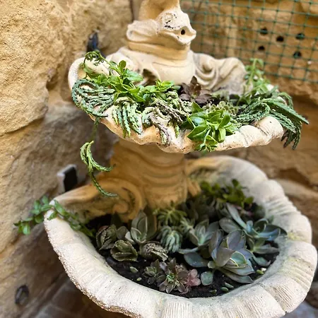 Tal-mans Gozo Case de vacanță *