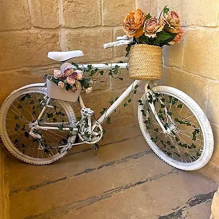Tal-mans Gozo Sannat