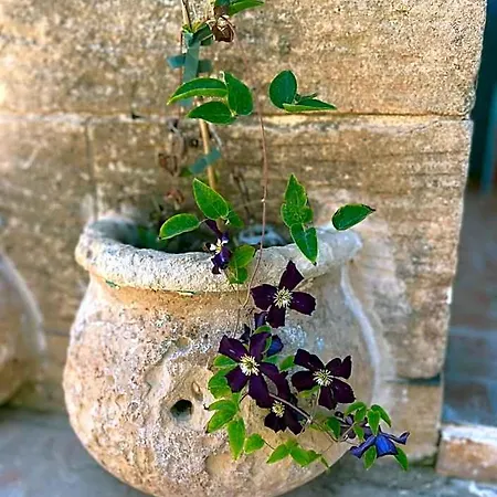 Tal-mans Gozo Sannat