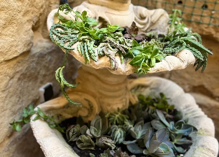 Tal-mans Gozo Tatil Evi *