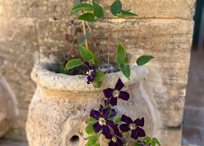 Casa vacanze Tal-mans Gozo